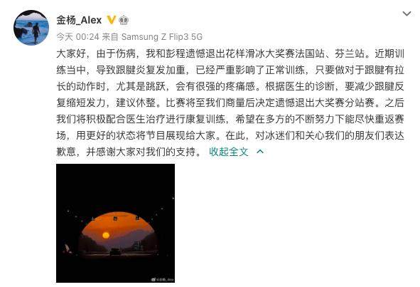 金杨跟腱炎复发 彭金组合退出花滑大奖赛分站赛